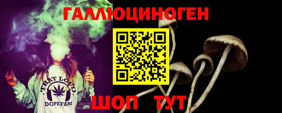 Псилоцибиновые грибы Psilocybine cubensis  наркота  Вход с VPN  Егорьевск  Псилоцибиновые грибы ЛСД 