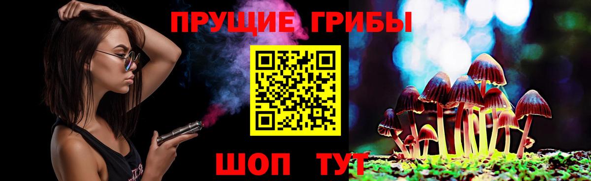 Галлюциногенные грибы Psilocybine cubensis Егорьевск